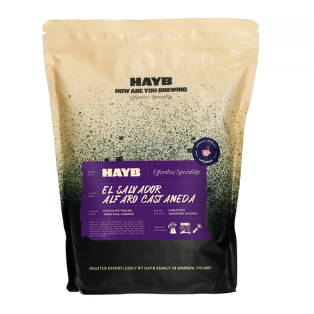 HAYB - El Salvador Alfaro Castaneda