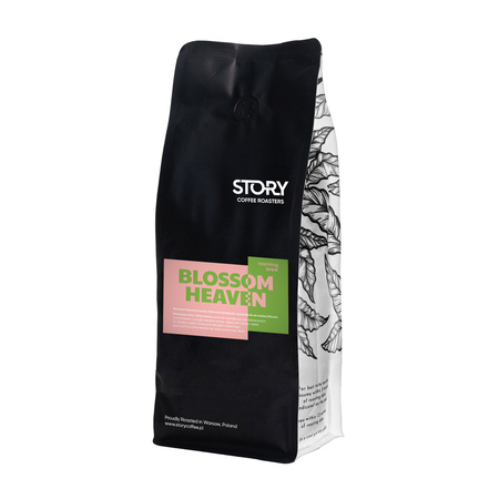 Story Coffee Roasters - Blossom Heaven Morning Brew Filter 1kg