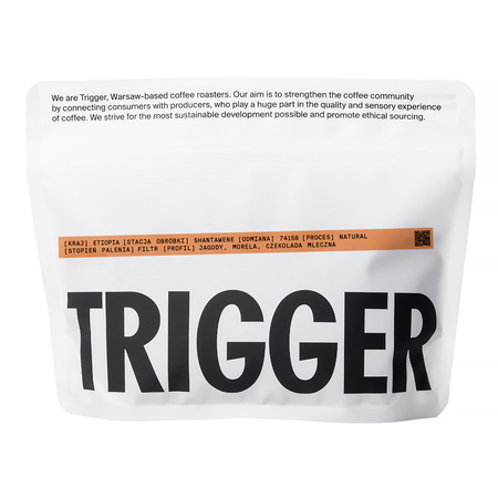Trigger - Ethiopia Shantawene Natural Filter 250 g
